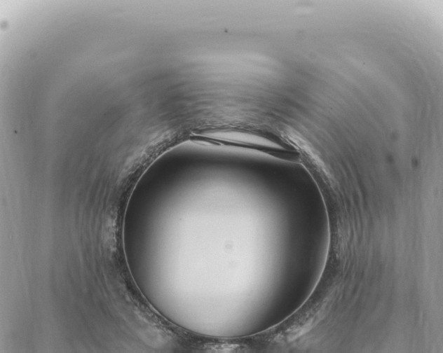 X0000088610497200706011231