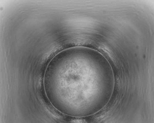 X0000088610499200706011231