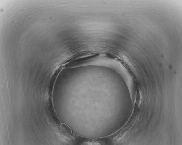 X0000088610500200706011231