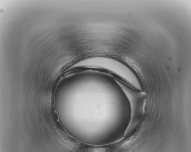 X0000088610501200706011231