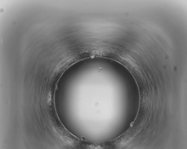 X0000088610502200706011231