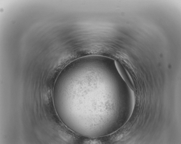 X0000088610503200706011231