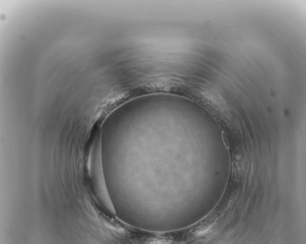 X0000088610504200706011231