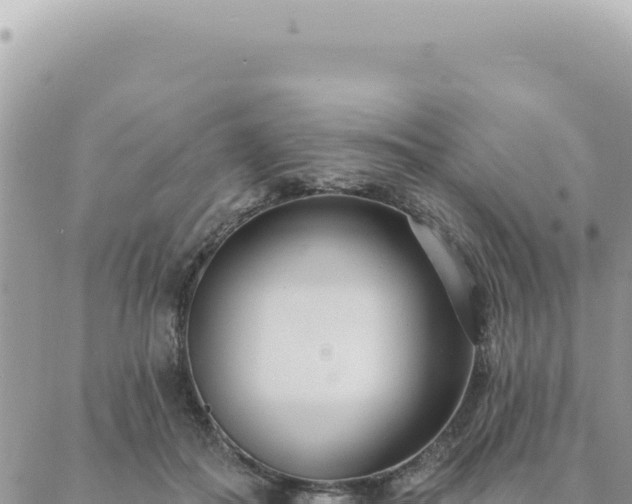 X0000088610506200706011231