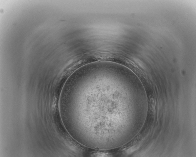 X0000088610507200706011231