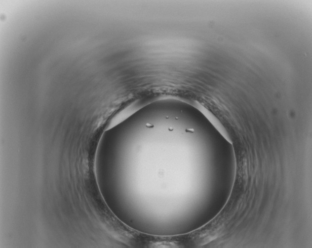 X0000088610508200706011231