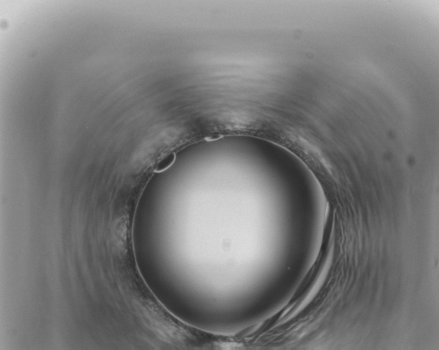 X0000088610509200706011231