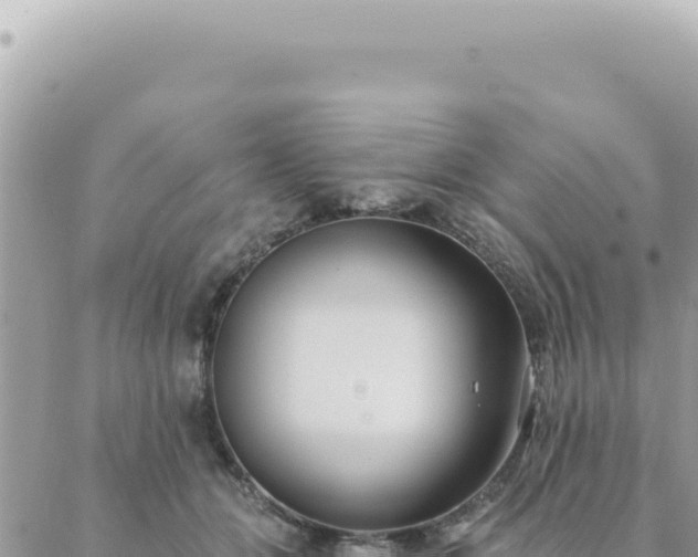 X0000088610510200706011231