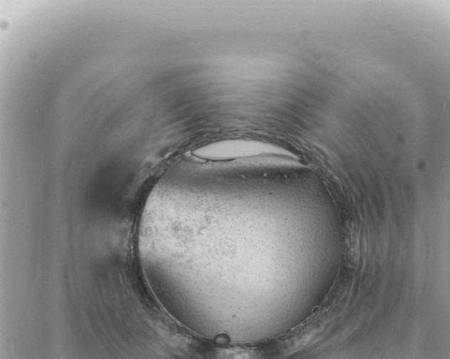 X0000088610511200706011231