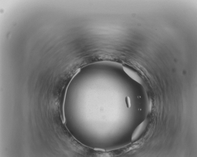 X0000088610513200706011231