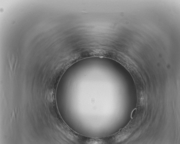 X0000088610514200706011231