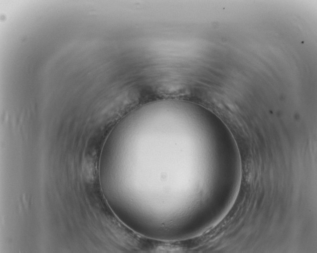 X0000088610515200706011231