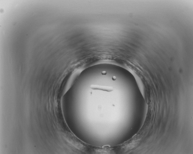 X0000088610516200706011231