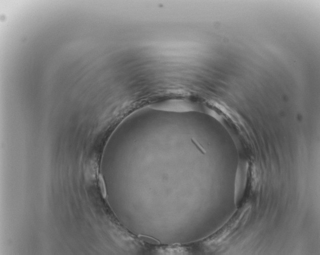 X0000088610517200706011231