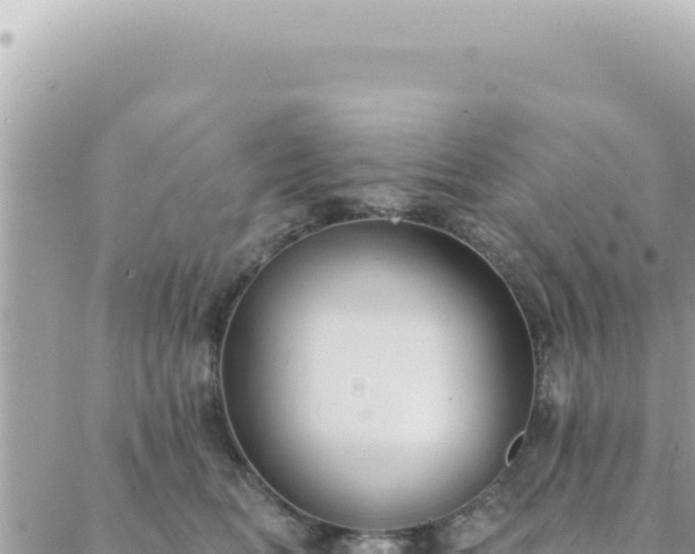 X0000088610518200706011231