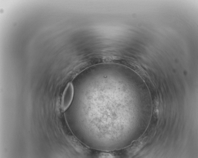 X0000088610519200706011231