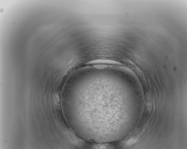 X0000088610523200706011231