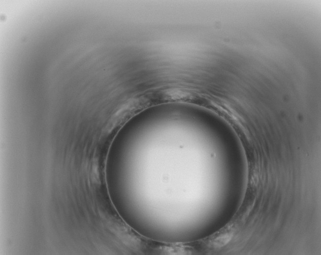 X0000088610524200706011231