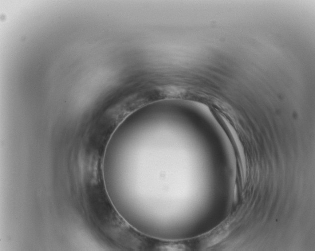 X0000088610525200706011231