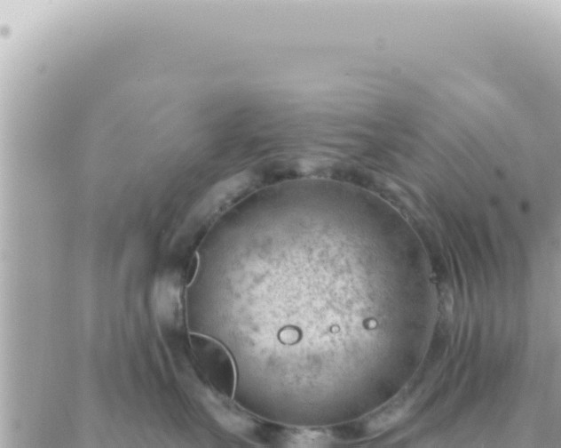 X0000088610527200706011230