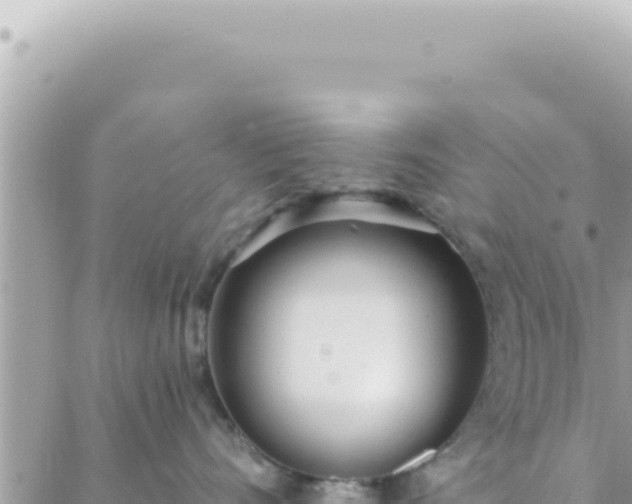 X0000088610528200706011230