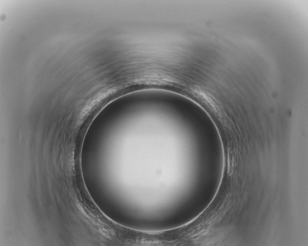 X0000088610531200706011230