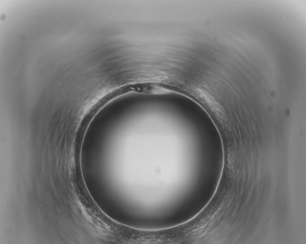 X0000088610532200706011230