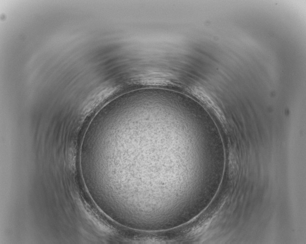 X0000088610533200706011230