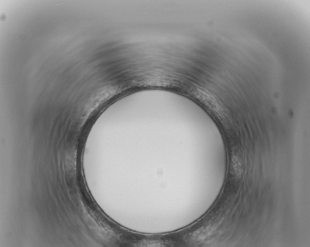 X0000088610534200706011230