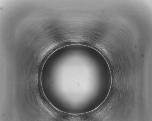 X0000088610535200706011230