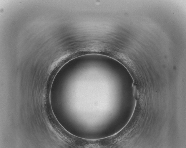 X0000088610536200706011230