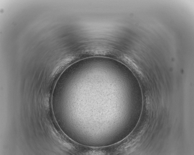 X0000088610537200706011230