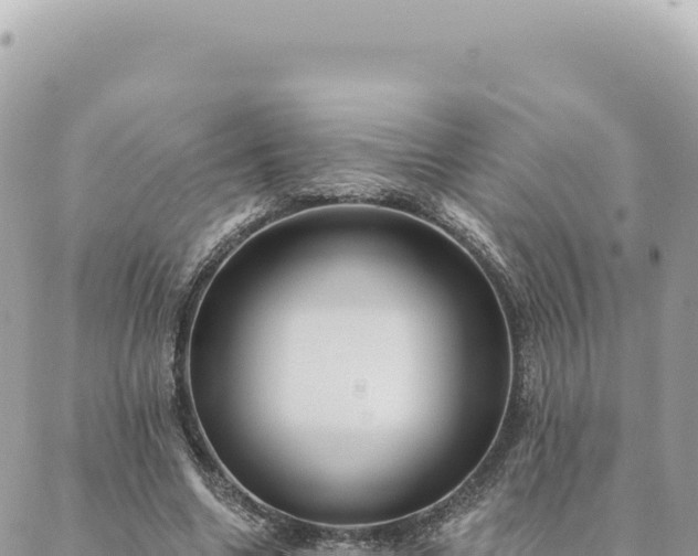 X0000088610538200706011230