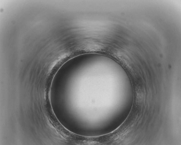 X0000088610539200706011230