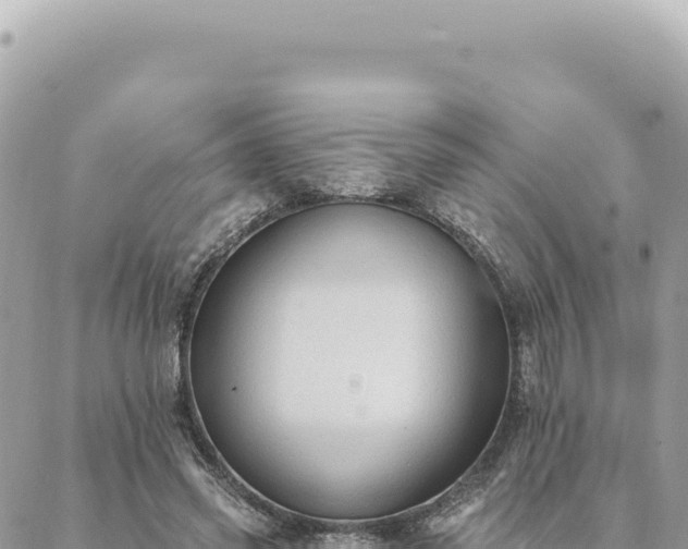 X0000088610541200706011230