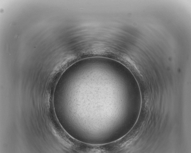 X0000088610542200706011230