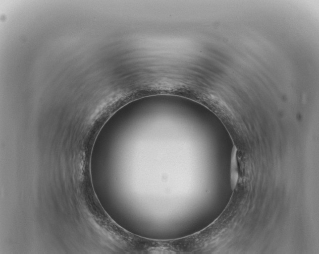 X0000088610544200706011230