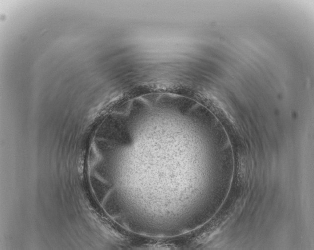 X0000088610545200706011230