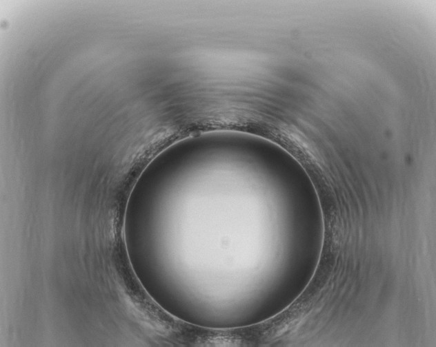 X0000088610546200706011230