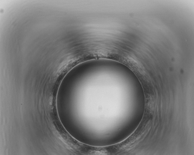 X0000088610548200706011230