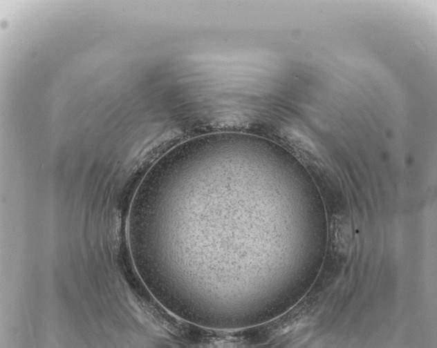 X0000088610550200706011230