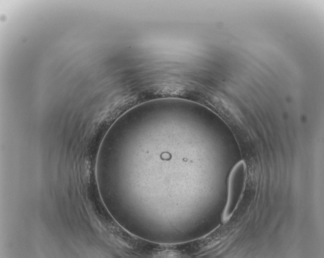 X0000088610551200706011230