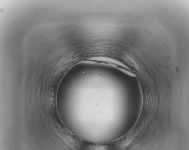 X0000088610553200706011230