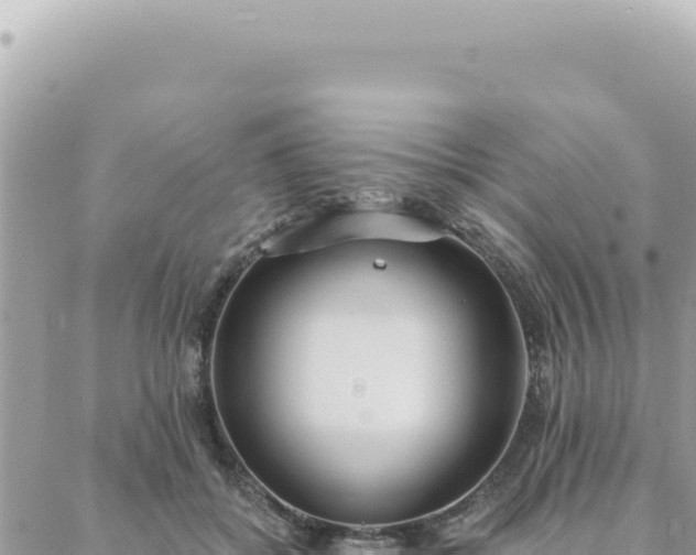 X0000088610556200706011230