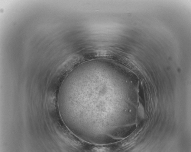 X0000088610557200706011230