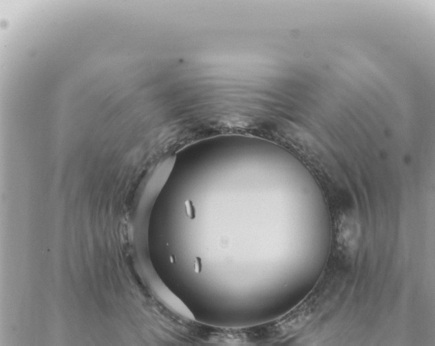 X0000088610559200706011230