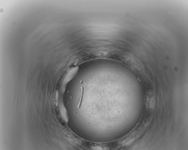 X0000088610561200706011230