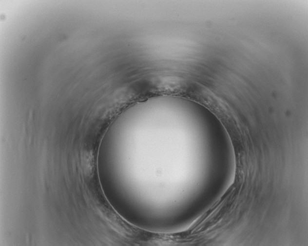 X0000088610563200706011230