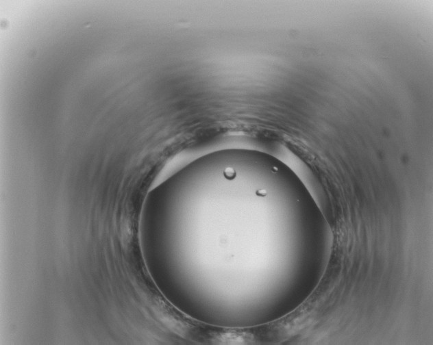 X0000088610566200706011230