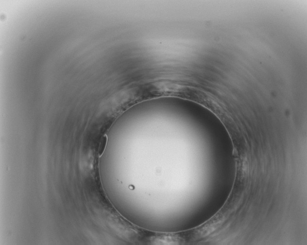 X0000088610567200706011230